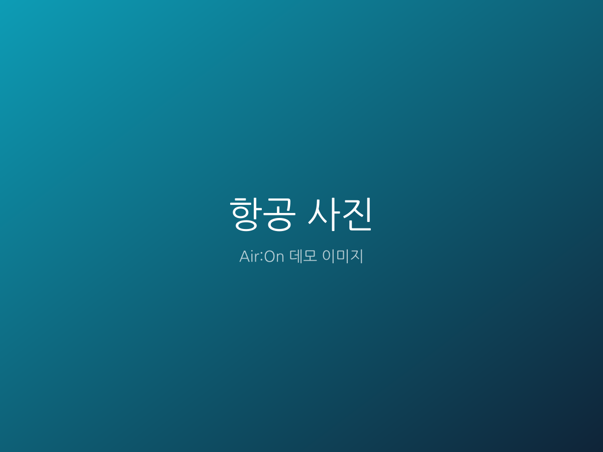 항공 사진 작업 예시